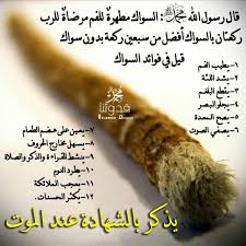 من فوائد السواك Islamic Phrases Quran Quotes Islam Hadith