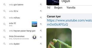 Canan Icer Adli Kullanicinin 52 Gun Merhaba Panosundaki Pin 2020 Tintin