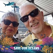 What are recommendations for an 84-year-old to learn about Newport's  history with mobility issues?