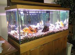 Aneka model meja aquarium jati jepara minimalis modern dan ukiran harga murah mulai 3 jutaan. 50 Contoh Aquarium Ikan Hias Air Tawar Dan Air Laut