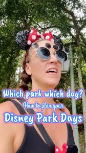 ⁉️What other questions do you have about planning a trip to Walt Disney  World?! , ✨Skip the stress, keep the magic! DM to plan your perfect Disney  Adventure! From done for you park strategy and group ...