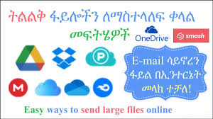 Ethiopian passport renwal form youtube. Jxzkgfukqeo1km