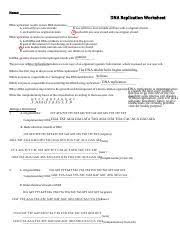 By enabling player identifier, you'll know the real person behind the nickname in your game. Dna Replication Ws Pdf Name Dna Replication Worksheet Dna Replication Results In Two Dna Molecules A Each With Two New Strands B One With Two New Course Hero