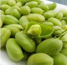 Green Chickpeas - (લીલા ચણા)