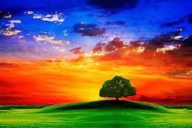 autumn with colorful foliage and water reflection 19 by lanjee chee carta da parati natura natura sfondi