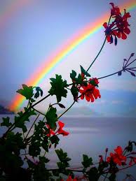 Lake Como Italy A Beautiful Rainbow Rainbow Sky Beautiful Rainbow Love Rainbow