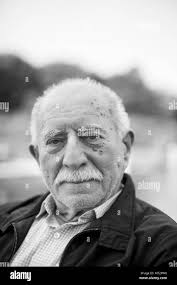 Werner hansch -Fotos und -Bildmaterial in hoher Auflösung