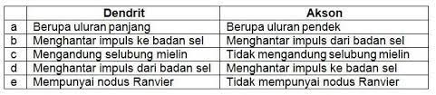 Semua fungsi dalam tubuh organisme diatur secara teliti, dikoordinasikan dengan berbagai fungsi organ lainnya dan diintegrasikan sesuai dengan. 40 Soal Pilihan Ganda Sistem Saraf Manusia Kunci Jawaban Muttaqin Id