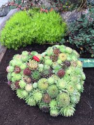 Allerheiligen Ausstellung Und Verkauf Garten Prentl You Get A Special Eye Catcher When Y Fall Garden Vegetables Garden Care Container Gardening Vegetables