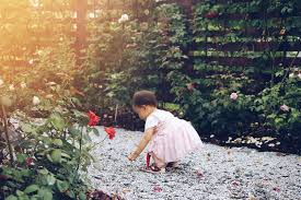 Your beautiful baby flowers stock images are ready. Flower Baby Pictures Download Free Images On Unsplash