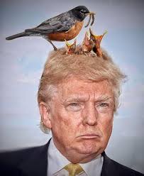 Banksy fans ❤️❤️ #banksy #banksyart #banksyartwork #banksymuseum