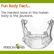Pin On Body Factoids