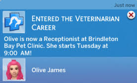 To start a vet clinic, use your sim's phone and go to the career/household tab. Mod The Sims Veterinarian Career Updated Compatible With Patch 1 70