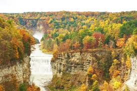 Sleeping under the stars, hiking, and cooking over a campfire all offer ways to reconnect with nature and relax. Discover Camping In The Grand Canyon Of The East Letchworth State Park Ny Wicked Good Travel Tips