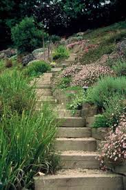 Pin By Sandy Noble On Gardening Ideas Side Yard Landscaping Sloped Garden Steep Gardens