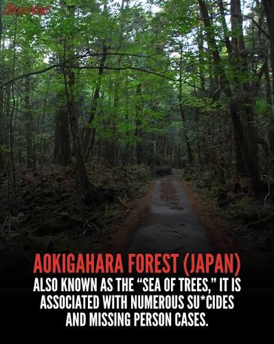 Deep in Japan lies Aokigahara Forest, also called the Sea of Trees, at the  foot of Mount Fuji. Its dense volcanic terrain can disrupt compasses,  making navigation difficult and giving the forest