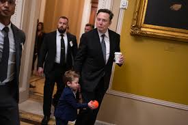 Elon Musk rallies opposition against bill to avert government shutdown