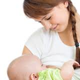 American Famous People with Name Sears, Famous Celebrity Named Sears