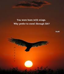 You Were Born With Wings Why Prefer To Crawl Through Life Rumi In 2020 Rumi Quotes Life Is Beautiful Quotes Rumi Love