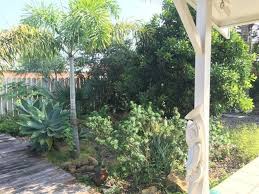 Vente Maison F3 A Tina Sur Mer 38 U Xpf Noumea Maison