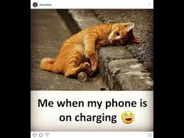 Funny Videos 2019 Really Funny Memes Cute Funny Quotes Funny Qoutes