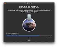 How To Download A Complete Macos Catalina Installer App