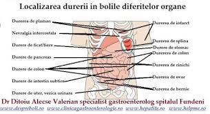 Durerea abdominala in stanga in partea de jos poate fi cauzata de organele sau structurile situate in llq (cvadrantul din stanga jos) al abdomenului. Cauzele Durerii Abdominale Din Stanga 0758 751 841 Dr Ditoiu Specialist Gastroenterologie Si Hepatologie