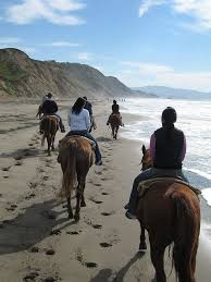 This Is Why You Need To Go Horseback Riding In Northern California Sea Rock Inn Mendocino Ca Glass Beach California Horseback Riding Horseback