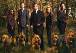 Fbi Portes Disparus Serie Tv 2002 Allocine