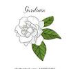 We have the informations about gardenia food industries sdn. 1