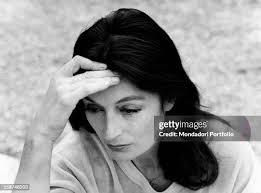 39 Aimee Stern Stock Photos, High-Res Pictures, and Images