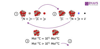 18) all radiocarbon samples should be sealed within a clean container such as a plastic bag at the time of recovery. Carbon Dating Its Importance The Physics Behind It Chemistry Byju S