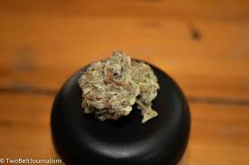 Check spelling or type a new query. Mint Chocolate Chip Cannabis Strain Review Feat Fireline