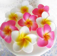 Azucar Comestible Plumeria Flores Grandes Color Rosa Y Sugar Flowers Fondant Flowers Plumeria Flowers