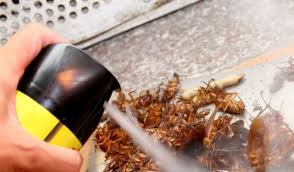 Quy định mới về xác nhận nội dung quảng cáo sản phẩm, hàng hóa, dịch vụ đặc  biệt Bộ Y tế quản lý