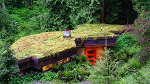 Isobel king sep 12, 2012. How To Make An Easy Green Roof Garden Sunset Magazine