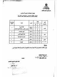 التعليم امتحان تحديد مستوى للمصريين بالخارج بنفس مواصفات امتحان الترم الأول اليوم السابع