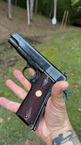 Image result for Rhone Blue 1983 Colt