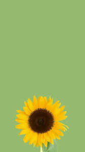 Pin Oleh Lauren Di Flower Power Wallpaper Bunga Matahari Latar Belakang Seni In 2021 Sunflower Wallpaper Flower Iphone Wallpaper Sunflower Iphone Wallpaper