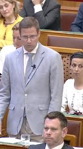 🗣️ „Arra szeretném kérni, hogy a kollektív sértegetést fejezzék be” –  üzente Gulyás Gergely Magyar Péternek a parlamentben., A Fidesz  frakcióvezetője szerint több területen sincs szükség ...