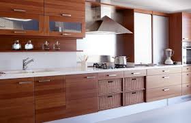 101 Custom Kitchen Design Ideas Pictures Affordable Kitchen Cabinets Contemporary Kitchen Cabinets Refacing Kitchen Cabinets