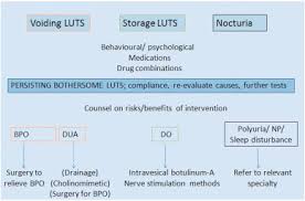 Obstructive voiding symptoms (ovs) are common following prostate cancer treatment with radiation therapy. Assessment And Management Of Male Lower Urinary Tract Symptoms Luts Sciencedirect