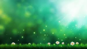 Free, fresh, trendy and original, coming in high resolution photoshop (psd) and jpg formats. Background High Resolution Green Wallpaper Hd