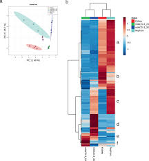 Animal cell culture media biology discussion. Cells Grown In Three Dimensional Spheroids Mirror In Vivo Metabolic Response Of Epithelial Cells Communications Biology
