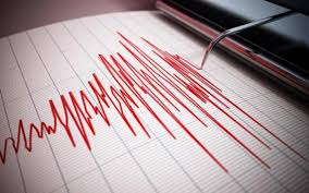 Trend Google: terremoto cosenza