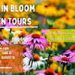 What's in Bloom Garden Tour