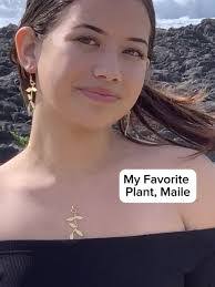 Maile Lee's Instagram, Twitter & Facebook