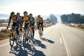 Udgave af det belgiske cykelløb heistse pijl. Team Jumbo Visma Homepage