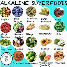 Alkaline herb shop compounds can help you realize the healthier lifestyle you've been seeking. Pin On Healthiest Foods