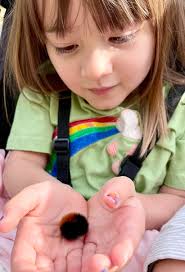 The Flying Flower (@TheFlyingFlower) • Facebook